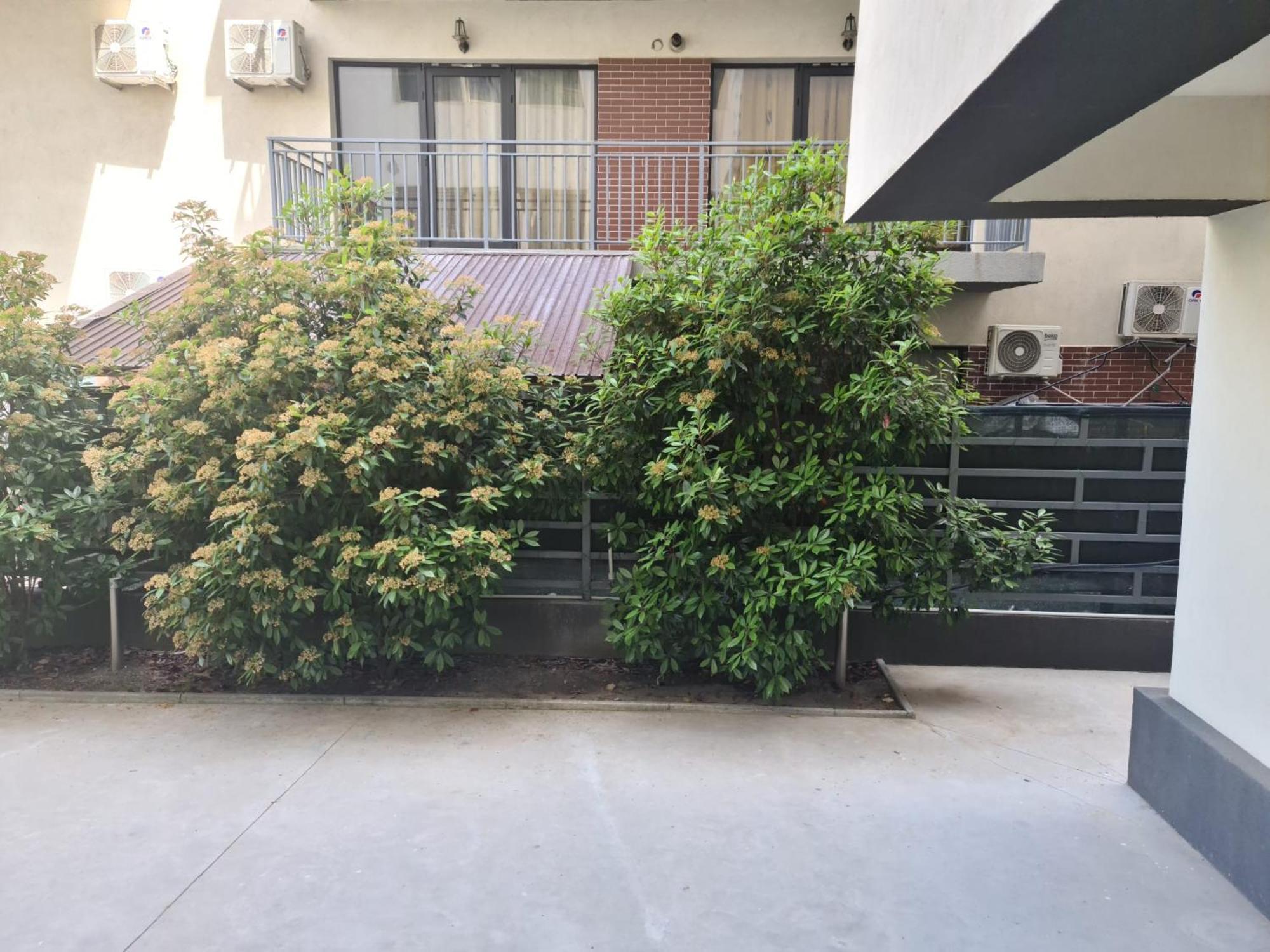 Apartament Deea Năvodari Zewnętrze zdjęcie